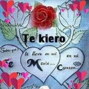 Meet your Posher, Regi melisa